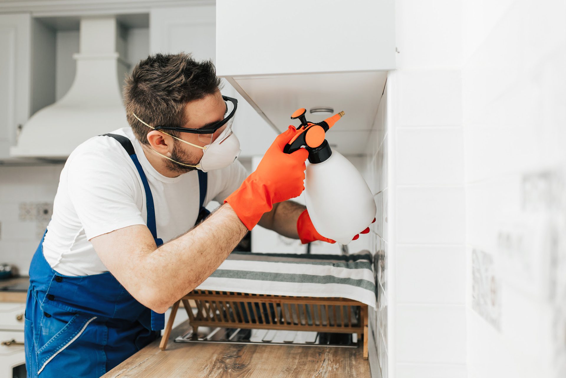 dummyimage14 dummyimage14